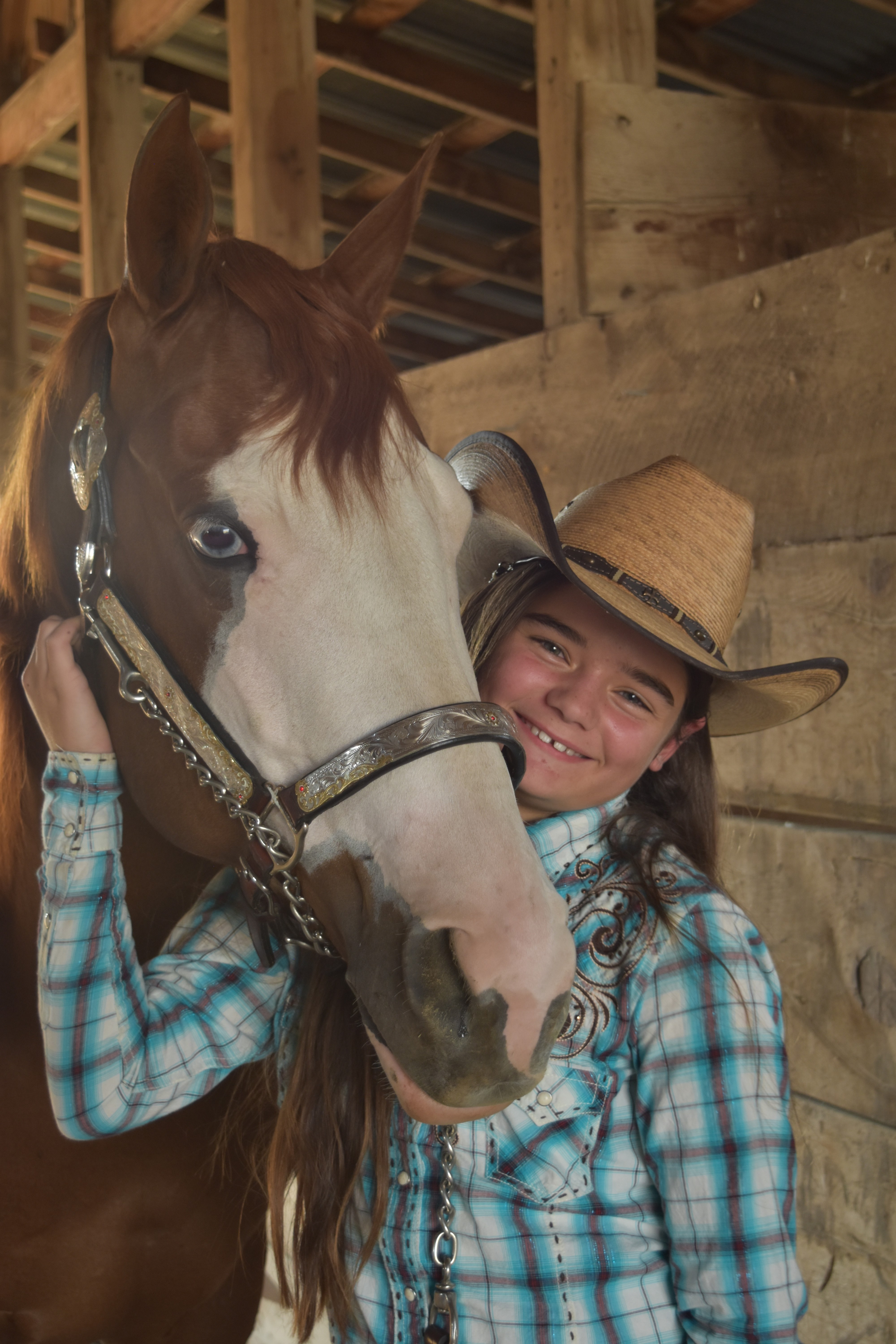 dreamer's horse knowledge with Sara Habernicht